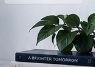 Bravo design plant visual
